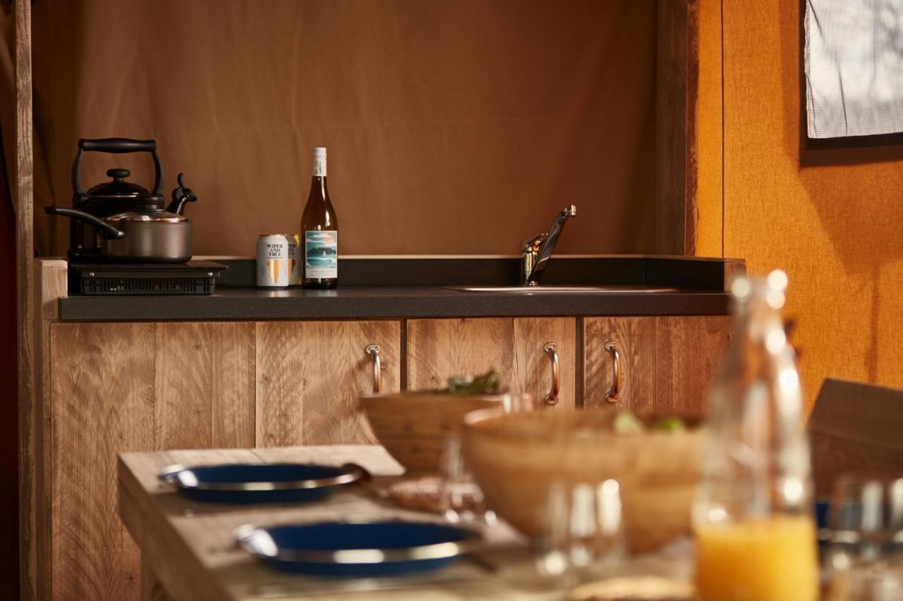 The Camp At The Wave * Bristol